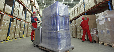 Micro-P Warehouse