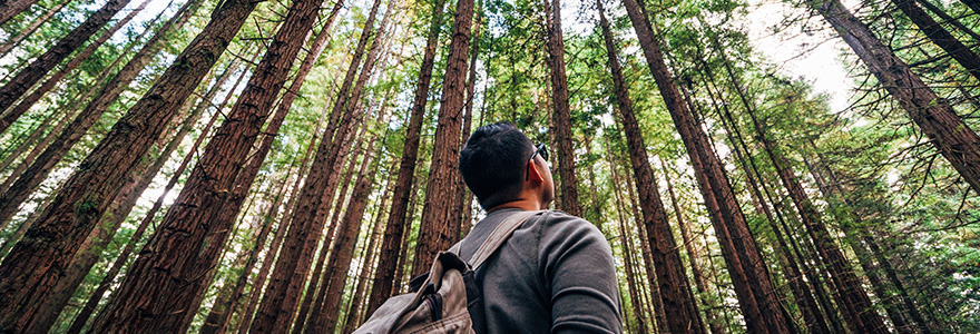 Planting better future